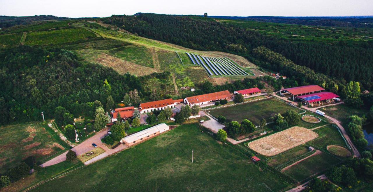 Bed & Breakfast Matyus Udvarhaz Kengyel Fogado 2*