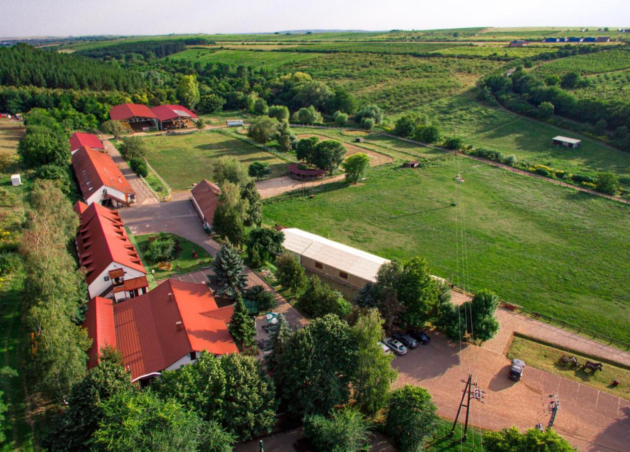 Bed & Breakfast Matyus Udvarhaz Kengyel Fogado